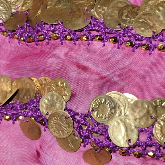 Coin Belt - Picture 2 of 2